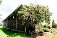 717 A St NE in Auburn, WA - Foto de edificio - Building Photo