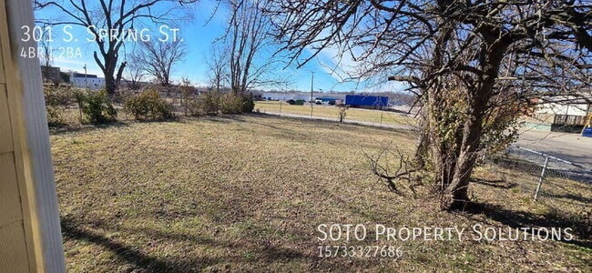 301 S Sprigg St in Cape Girardeau, MO - Building Photo - Building Photo