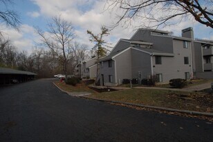 1321 Prospect Crossing in Ballwin, MO - Building Photo