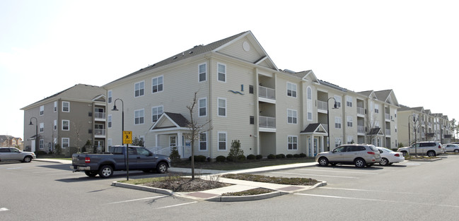 Stafford Park Apartments in Manahawkin, NJ - Building Photo - Building Photo