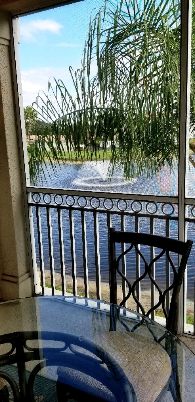 800 San Lino Cir in Venice, FL - Building Photo - Building Photo