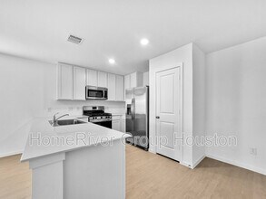 452 Texas Pecan Dr in Katy, TX - Building Photo - Building Photo