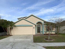 10547 Peppergrass Ct in Trinity, FL - Building Photo
