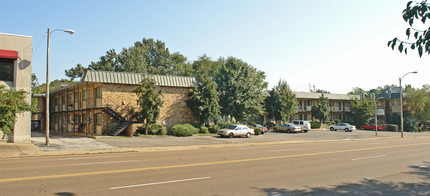 The Union Place Apartments in Memphis, TN - Building Photo - Building Photo