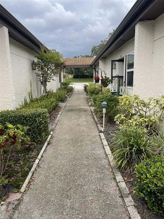 3117 Mission Grove Dr in Palm Harbor, FL - Building Photo - Building Photo