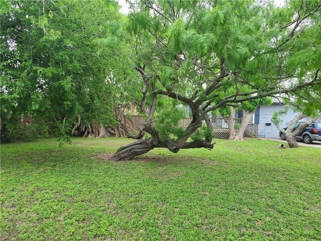 301 Primrose Dr in Corpus Christi, TX - Building Photo - Building Photo