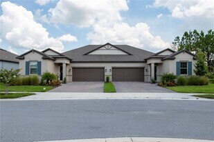 10125 Campanula Ct in Land O Lakes, FL - Building Photo