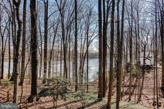 15793 Moncure Dr in Montclair, VA - Building Photo - Building Photo