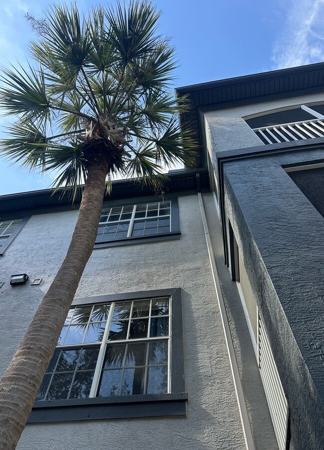 property at 13116 Sanctuary Cove Dr