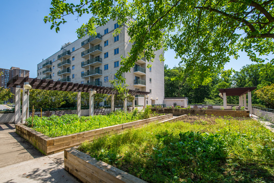 The Delano in Adelphi, MD - Building Photo