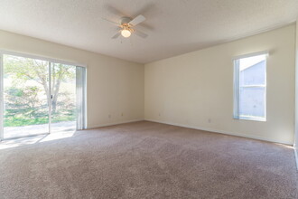 13117 Moonflower Ct in Clermont, FL - Building Photo - Building Photo