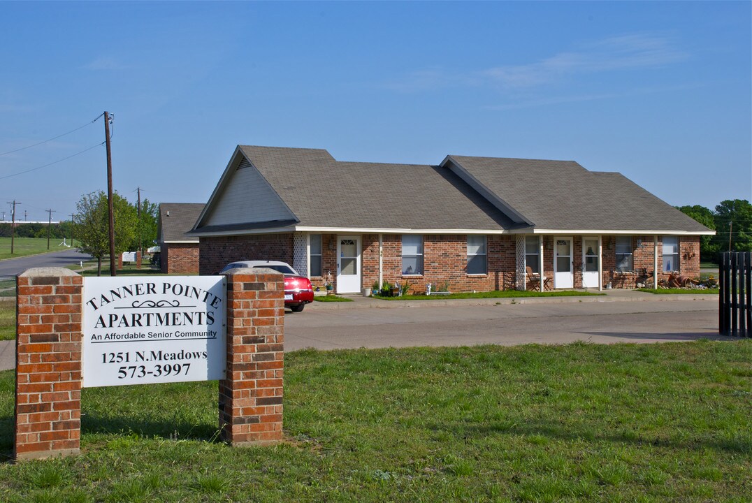 Tanner Pointe Apartments in Granbury, TX - Building Photo