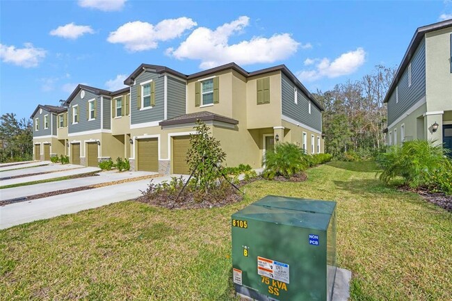 17463 Nectar Flume Dr in Land O Lakes, FL - Foto de edificio - Building Photo