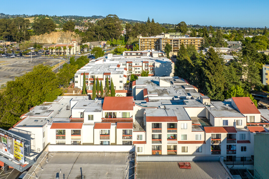 288 Whitmore St in Oakland, CA - Building Photo