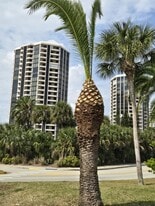 1 Oceans West Blvd, Unit Oceans West One 19B6 in Daytona Beach, FL - Building Photo