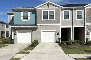 197 Sweet Lemon Ln in Orange Park, FL - Building Photo