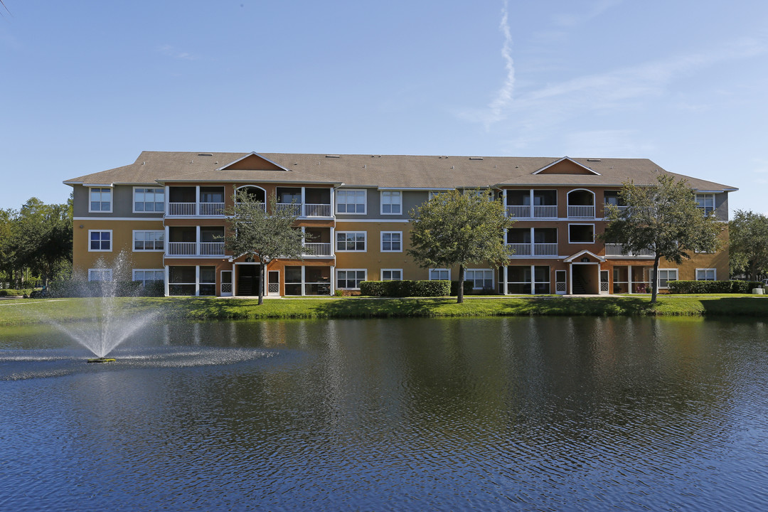 Trinity Palms at Seven Springs in New Port Richey, FL - Foto de edificio