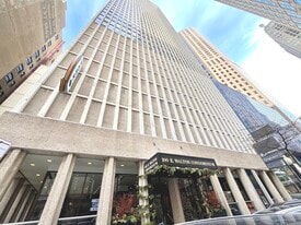 100 E Walton Pl in Chicago, IL - Building Photo