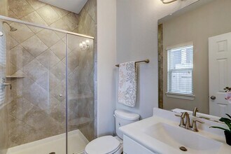 10816 Brittmoore Oaks Pl in Houston, TX - Foto de edificio - Building Photo