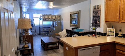 720 E Anemone Trail, Unit C in Dillon, CO - Building Photo - Building Photo
