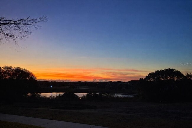 9743 Amber Chestnut Wy in Winter Garden, FL - Building Photo - Building Photo