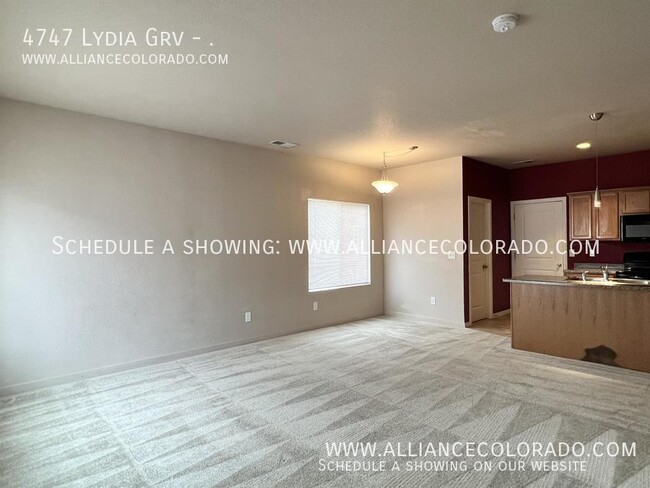 4747 Lydia Grove in Colorado Springs, CO - Building Photo - Building Photo