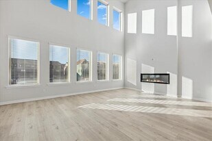 4157 Willow Pond Dr in Frisco, TX - Building Photo