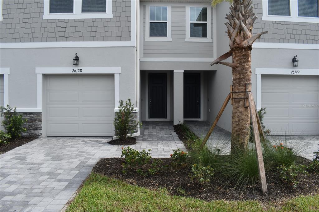 26128 Fantasy Sky Ln in Lutz, FL - Building Photo