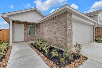 18699 Cepagatti Dr in New Caney, TX - Building Photo - Building Photo