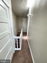 1736 Darley Ave in Baltimore, MD - Building Photo - Building Photo
