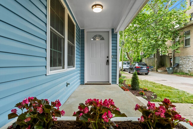 317 Ross Ave in Lexington, KY - Building Photo - Building Photo