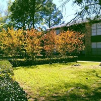 Athena Garden Apartments in Athens, TX - Foto de edificio - Building Photo