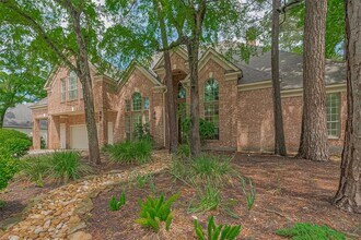26 Spiceberry Pl in Spring, TX - Building Photo - Building Photo