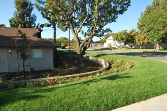 Monterey Pines in Brea, CA - Building Photo - Building Photo