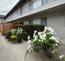 9822 Acacia Ave Apartments