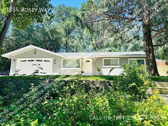 property at 3884 Rosey Way
