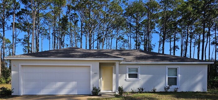 163 Ullian Trail in Palm Coast, FL - Building Photo