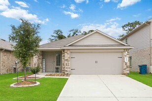 22434 Forest Gorge Ln in Spring, TX - Building Photo