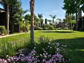 4860 E Lane Ave in Fresno, CA - Building Photo - Building Photo