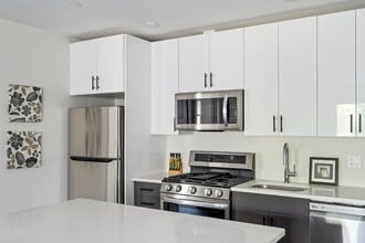 50 Stedman St in Boston, MA - Building Photo - Building Photo