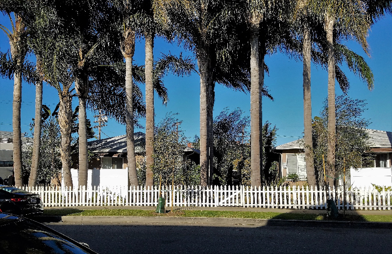 2224 S Carmelina Ave in Los Angeles, CA - Building Photo