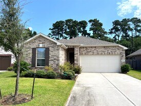 8613 Cimarron Mesa Ln in Magnolia, TX - Building Photo