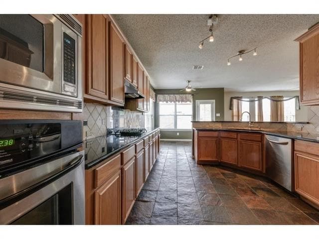 8316 Fountain Springs Dr in Plano, TX - Foto de edificio - Building Photo