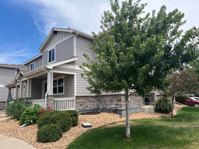 6107 Kochia Ct in Frederick, CO - Building Photo - Building Photo