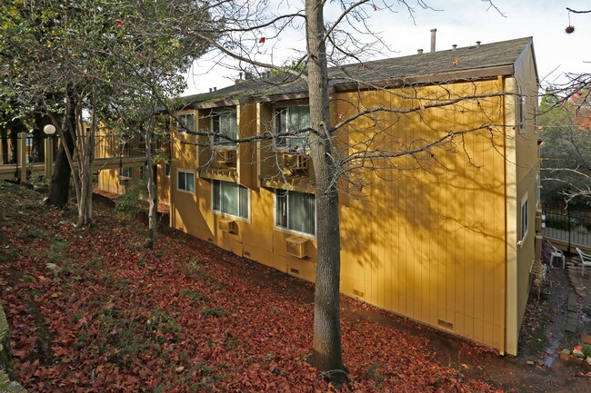 Brookside Senior Apartments in Auburn, CA - Foto de edificio - Building Photo