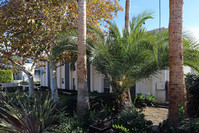 Carlton by the Sea in Carlsbad, CA - Foto de edificio - Building Photo