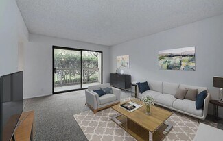 450 N Civic Dr in Walnut Creek, CA - Building Photo