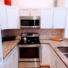 14132 Lily Ct in Wellington, FL - Building Photo - Building Photo