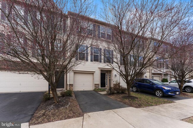 42599 Chisholm Dr in Broadlands, VA - Building Photo - Building Photo