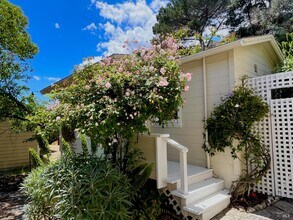 14 Belle Ave in San Rafael, CA - Building Photo - Building Photo